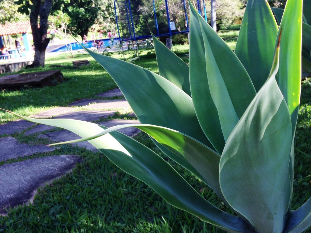 Aguas Vivas Hotel Fazenda Pirenópolis Zewnętrze zdjęcie