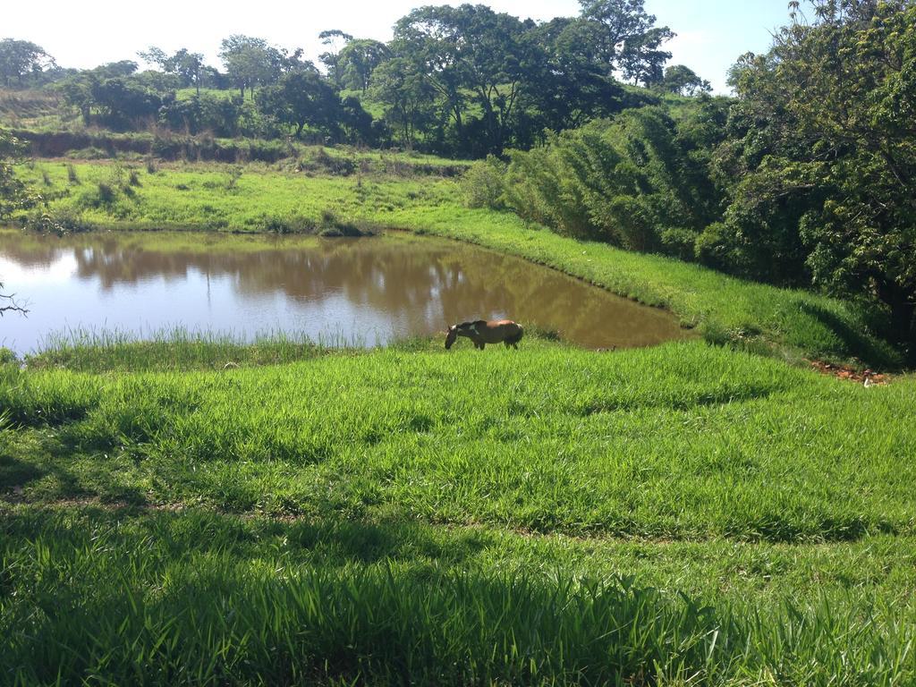 Aguas Vivas Hotel Fazenda Pirenópolis Zewnętrze zdjęcie