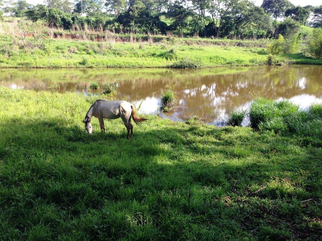 Aguas Vivas Hotel Fazenda Pirenópolis Zewnętrze zdjęcie