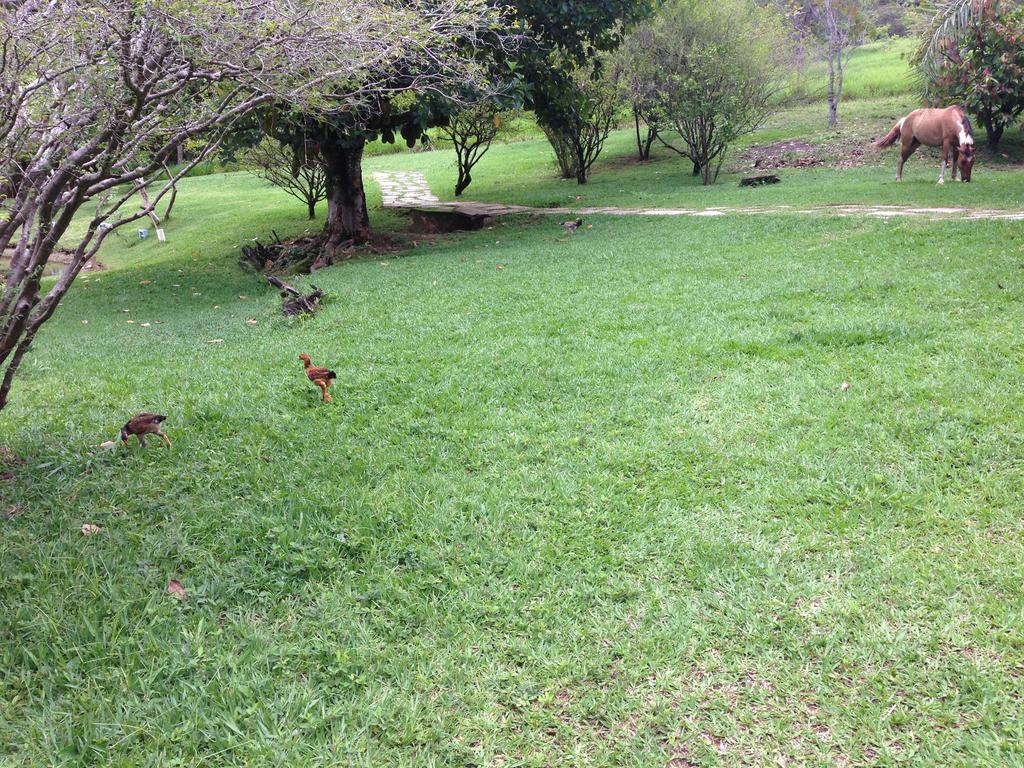 Aguas Vivas Hotel Fazenda Pirenópolis Zewnętrze zdjęcie