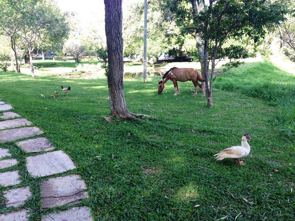 Aguas Vivas Hotel Fazenda Pirenópolis Zewnętrze zdjęcie