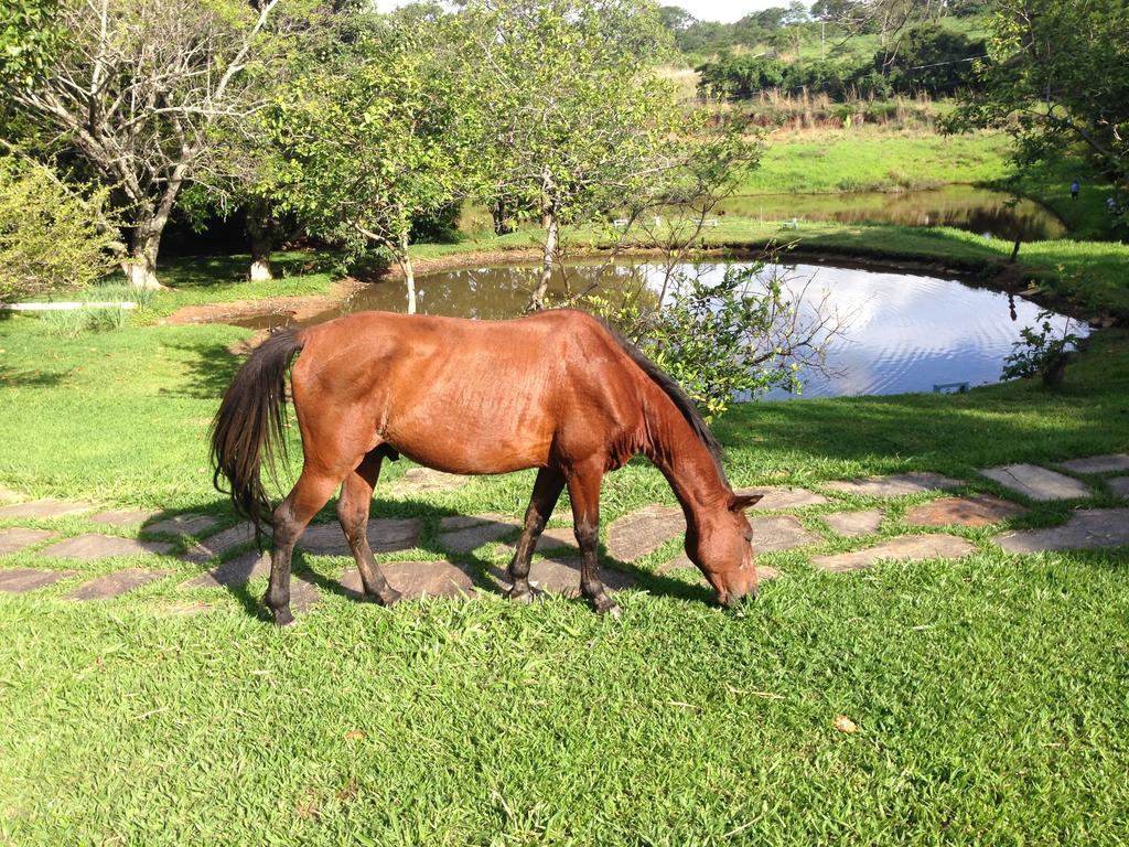Aguas Vivas Hotel Fazenda Pirenópolis Zewnętrze zdjęcie