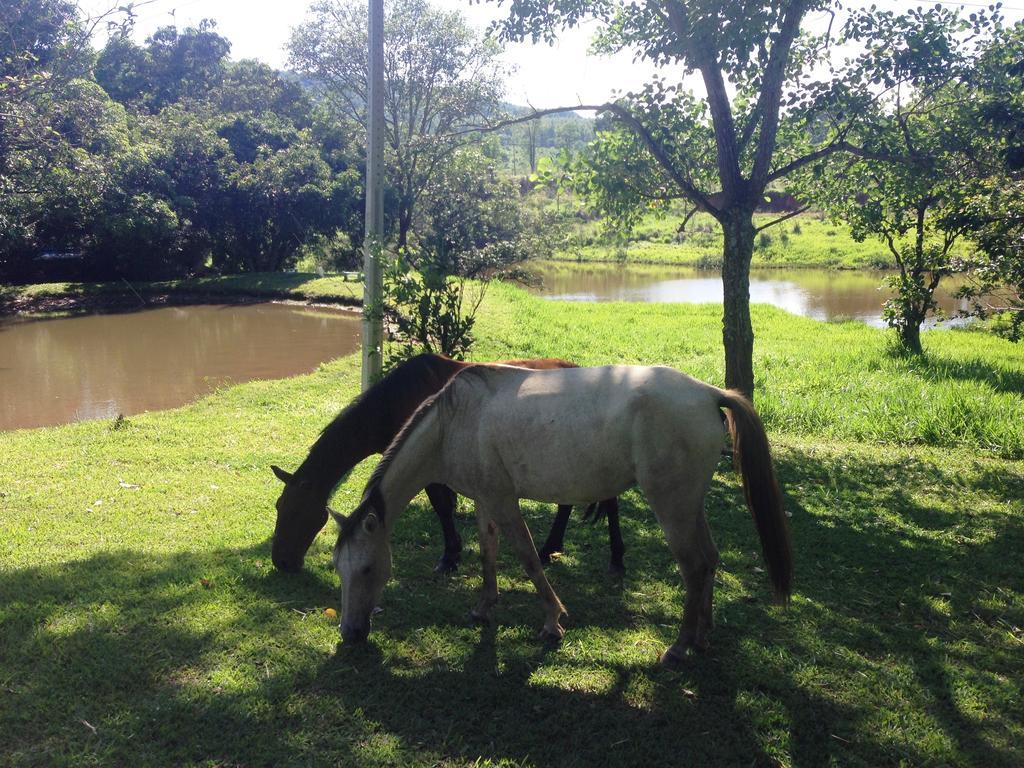 Aguas Vivas Hotel Fazenda Pirenópolis Zewnętrze zdjęcie