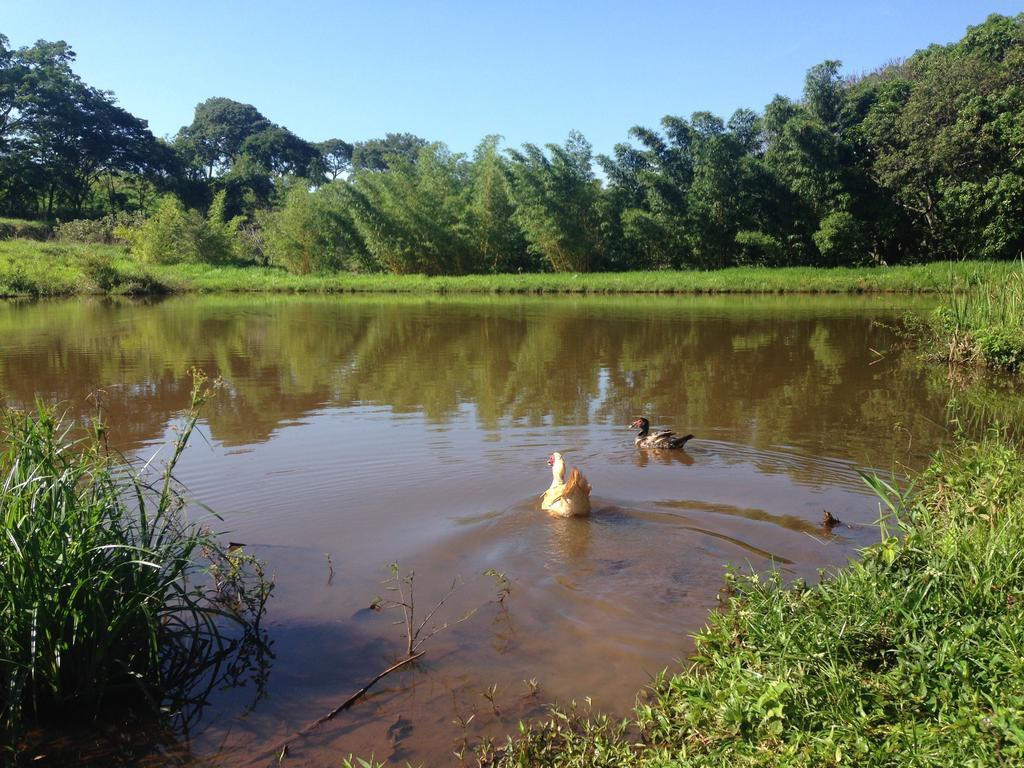 Aguas Vivas Hotel Fazenda Pirenópolis Zewnętrze zdjęcie